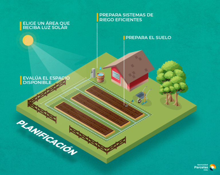 Consejos para tu huerta